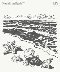 An illustration featuring seashells beautifully scattered on a beach with gentle waves