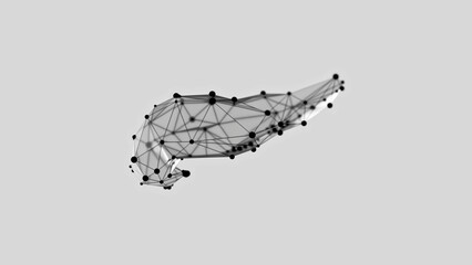 3d render of low-poly pancreas over white background. Pancreas wireframe made of black points. 3d illustration