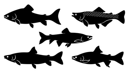 Set of modern illustration of fish