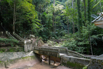 Fototapeta premium Old moss-covered bridge and staircases in dense tropical jungle with a dry creek bed. A mysterious, overgrown setting perfect for themes of abandonment, history, exploration, or cinematic backgrounds.