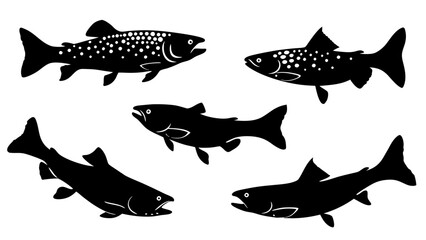 Set of modern illustration of fish