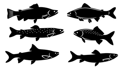 Set of modern illustration of fish