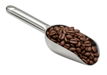 Roasted coffee beans in a metal measuring cup