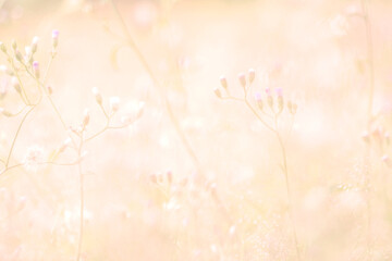 Beautiful nature view of green leaf on blurred greenery. Natural green leaves background, fresh wallpaper concept, among green leaves and other blossom blur background for text.