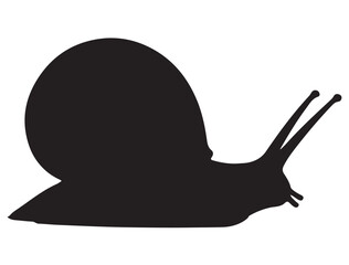 SNAIL SILHOUETTE