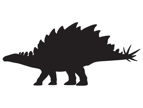 STEGOSAURUS SILHOUETTE