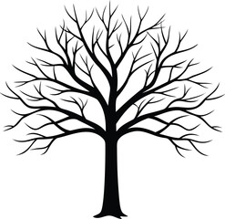 Obraz premium Silhouette of a bare tree with branches, isolated on a white background