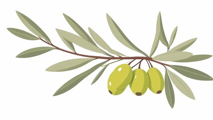A fresh and realistic vector illustration of a single olive branch, featuring three plump green olives and detailed leaves, isolated on a clean white background for food or nature concepts.