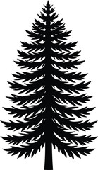 Naklejka premium Simple and elegant silhouette of a coniferous evergreen tree, isolated on white