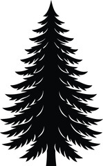 Fototapeta premium Silhouette of a coniferous tree, a classic symbol of the holidays