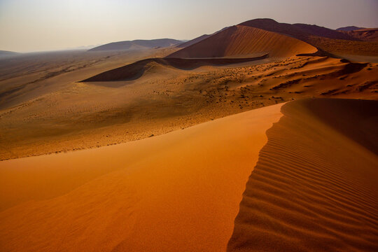 Golden morning light casting long shadows over the sharp ridge of Dune 45, with sweeping views of the surrounding Namib Desert dunes.
