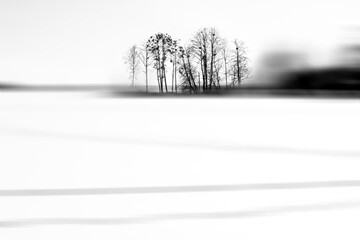 Solitary Trees on a Snow-Covered Island Amid a Frozen Lake in Wintertime