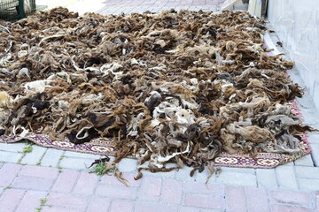 Piled Raw Sheep Wool, Natural Brown and White Wool Fiber, Unprocessed Animal Wool Background,...