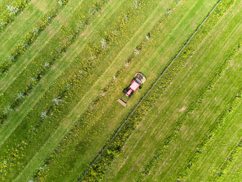 Tractor mowing green grass field on a sunny day