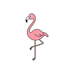 vector illustration of flamingo on white background vector art
