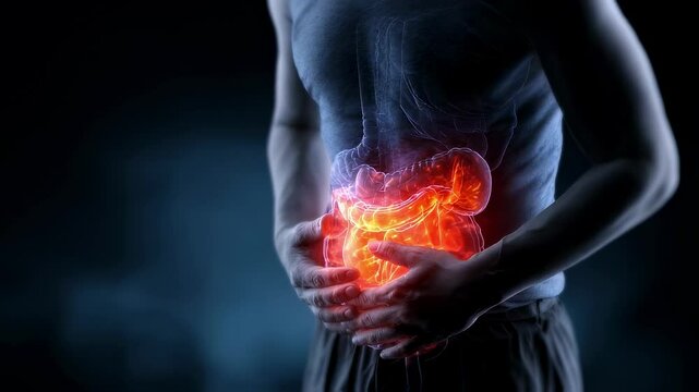 Medical visualization highlighting abdominal pain, showing a man clutching his stomach with a superimposed anatomical image of inflamed intestines