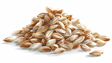 Barley Grains &ndash; Nutritious Whole Grains on White Background