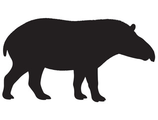 TAPIR SILHOUETTE 
