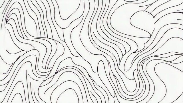 Mesmerizing monochrome lines form captivating abstract patterns in graceful motion