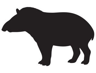 TAPIR SILHOUETTE 