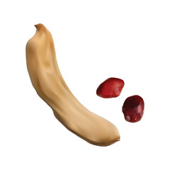 tamarind imli illustration on white background vol 01