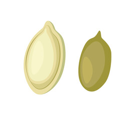Vector illustration, pumpkin seeds, isolated on white background. Nuts seeds icon concept. Graphic element for website.