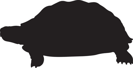 TORTOISE SILHOUETTE