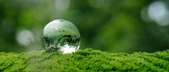 Crystal globe glass on green in forest for  Sustainable Development, green business, circular...