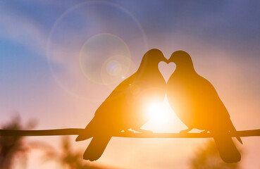 Dove Couple Silhouette on Wire Creating Heart Shape at Sunrise