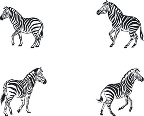 zebras silhouette  vector icon design with white background 