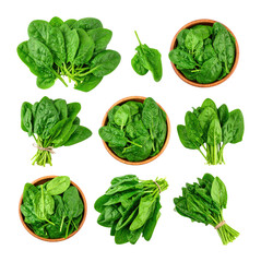 Fresh Spinach Bundle with Deep Green Hues and Glistening Texture, Isolated on Transparent Background