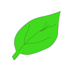 leaf cartoon