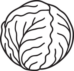 Simple Cabbage Outline Illustration A Clean and Minimalist Design for Healthy Food Concepts and Culinary Projects