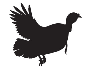TURKEY BIRD SILHOUETTE