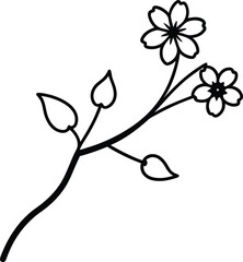 branch of cherry tree