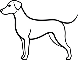 vector illustration of a dog