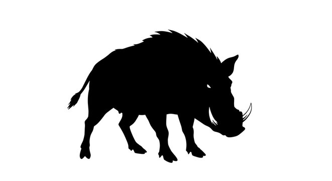 vector art line of angry wild boar brave and muscle suitable for mockup and logo product of team isolated white background - Powered by Adobe