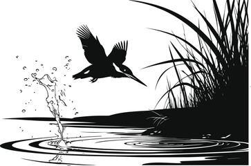 Kingfisher Bird Silhouette Diving Over Water with Splash and Reeds
