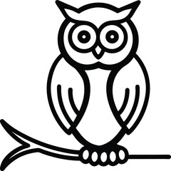 owl on white background