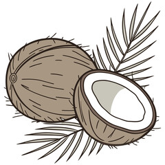 coconut vector