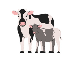 Dairy cow and calf. Mother and baby cub livestock standing together. Cattle family, natural domestic farm animals with spotted pattern. Flat vector illustration isolated on white background