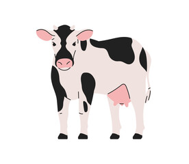 Spotted dairy cow standing, looking. Domestic livestock with black spotty pattern, udder. Farm animal, cattle. Natural organic agriculture. Flat vector illustration isolated on white background