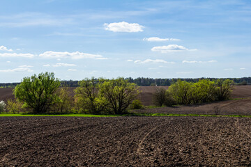 Obraz premium Sunlit rural landscape with green trees and cultivated farmland under a clear sky during springtime