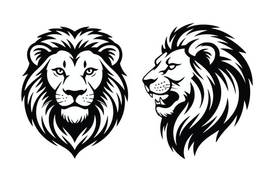 Lion head vector illustration, black and white lion drawing, animal face design, wild cat art print