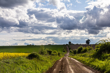 Dirt road winding through vibrant green fields under a dramatic sky near the countryside in late spring