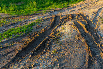 Tracks left by vehicle tires on a dirt path surrounded by lush green grass at sunset during the golden hour