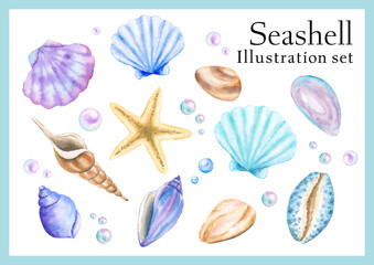 Set of shells and starfish_Watercolor
