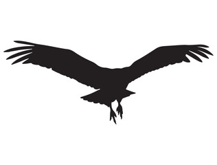 VULTURE SILHOUETTE