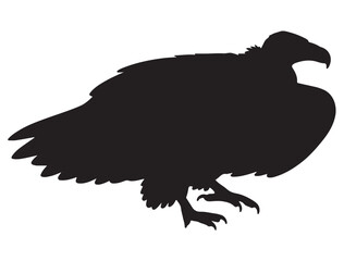 VULTURE SILHOUETTE