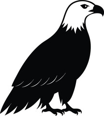 Bald Eagle silhouette vector art illustration and minimal black and white design